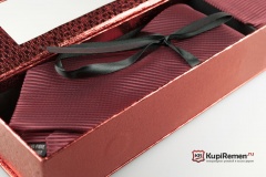Бордовый мужской галстук ARISTOKRAT с нагрудным платком в коробке