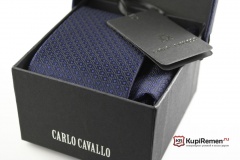 Мужской галстук с нагрудным платком CARLO CAVALLO