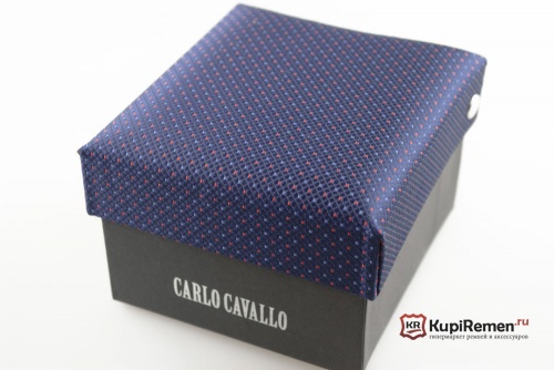 Мужской галстук с нагрудным платком CARLO CAVALLO - kupiremen.ru