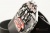 Кожаный ремень с пряжкой "EXCELSIOR MOTO" 3D - kupiremen.ru Кожаный ремень с пряжкой "EXCELSIOR MOTO" 3D - kupiremen.ru