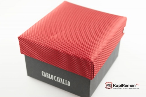 Мужской галстук с нагрудным платком CARLO CAVALLO - kupiremen.ru