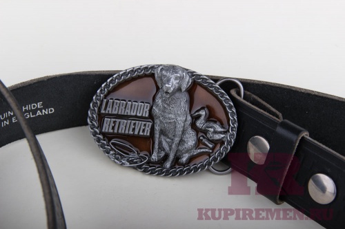 Кожаный ремень с пряжкой "LABRADOR" (лабрадор) - kupiremen.ru