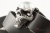 Кожаный ремень с пряжкой "3D SKULL" (Череп 3D) - kupiremen.ru