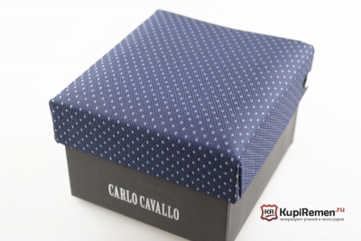 Мужской галстук с нагрудным платком CARLO CAVALLO - kupiremen.ru