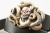 Кожаный ремень с пряжкой "OCTO SKULL" (Череп осьминога) 3D - kupiremen.ru