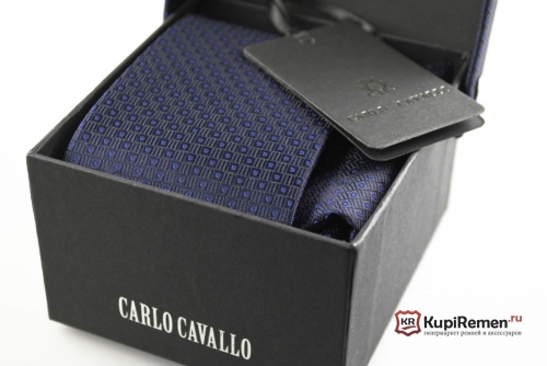 Мужской галстук с нагрудным платком CARLO CAVALLO - kupiremen.ru