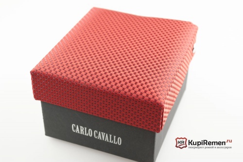 Мужской галстук с нагрудным платком CARLO CAVALLO - kupiremen.ru