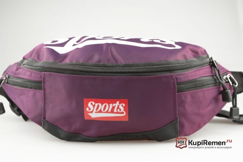Модная непромокаемая спортивная сумка на пояс SPORTS - kupiremen.ru