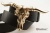 Кожаный ремень с пряжкой "LONG HORN STEER SKULL" (Латунь) - kupiremen.ru