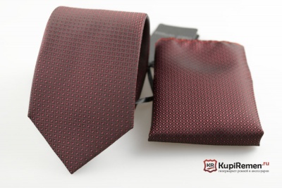 Мужской галстук с нагрудным платком CARLO CAVALLO - kupiremen.ru
