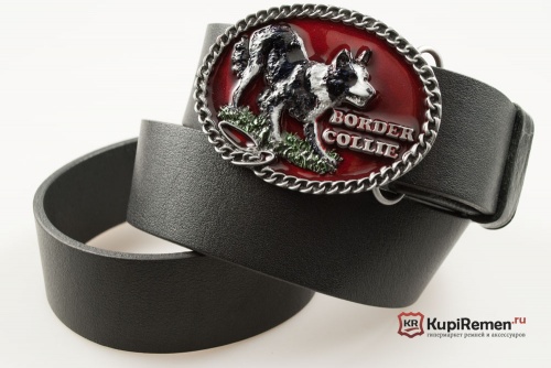 Кожаный ремень с пряжкой "BORDER COLLIE" (Пограничная колли) - kupiremen.ru