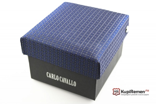 Мужской галстук с нагрудным платком CARLO CAVALLO - kupiremen.ru