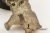 Кожаный ремень с пряжкой "LEOPARD" (Леопард) 3D - kupiremen.ru