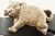 Кожаный ремень с пряжкой "LEOPARD" (Леопард) 3D - kupiremen.ru