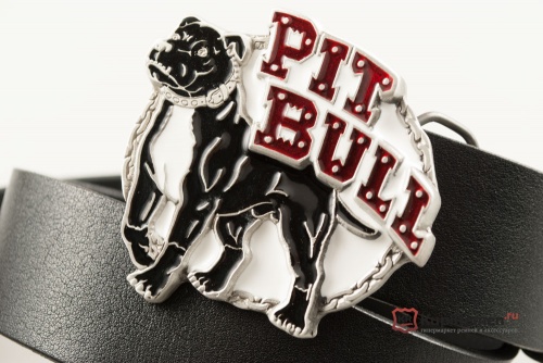Кожаный ремень с пряжкой "Pit bull" (Питбультерьер) - kupiremen.ru